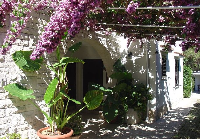 Appartamento a Mali Lošinj - Appartamento in Lussinpiccolo (Mali Losinj) con terrazzo, Climatizzazione, WIFI, Lavatrice (4241-3) Appartamento a Mali Lošinj - Appartamento in Lussinpiccolo (Mali Losinj) con terrazzo, Climatizzazione, WIFI, Lavatrice (4241-3)