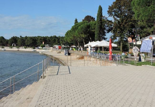Appartamento a Umag - Appartamento in Umago (Umag) con terrazzo, Climatizzazione, WIFI (4259-2) Appartamento a Umag - Appartamento in Umago (Umag) con terrazzo, Climatizzazione, WIFI (4259-2)