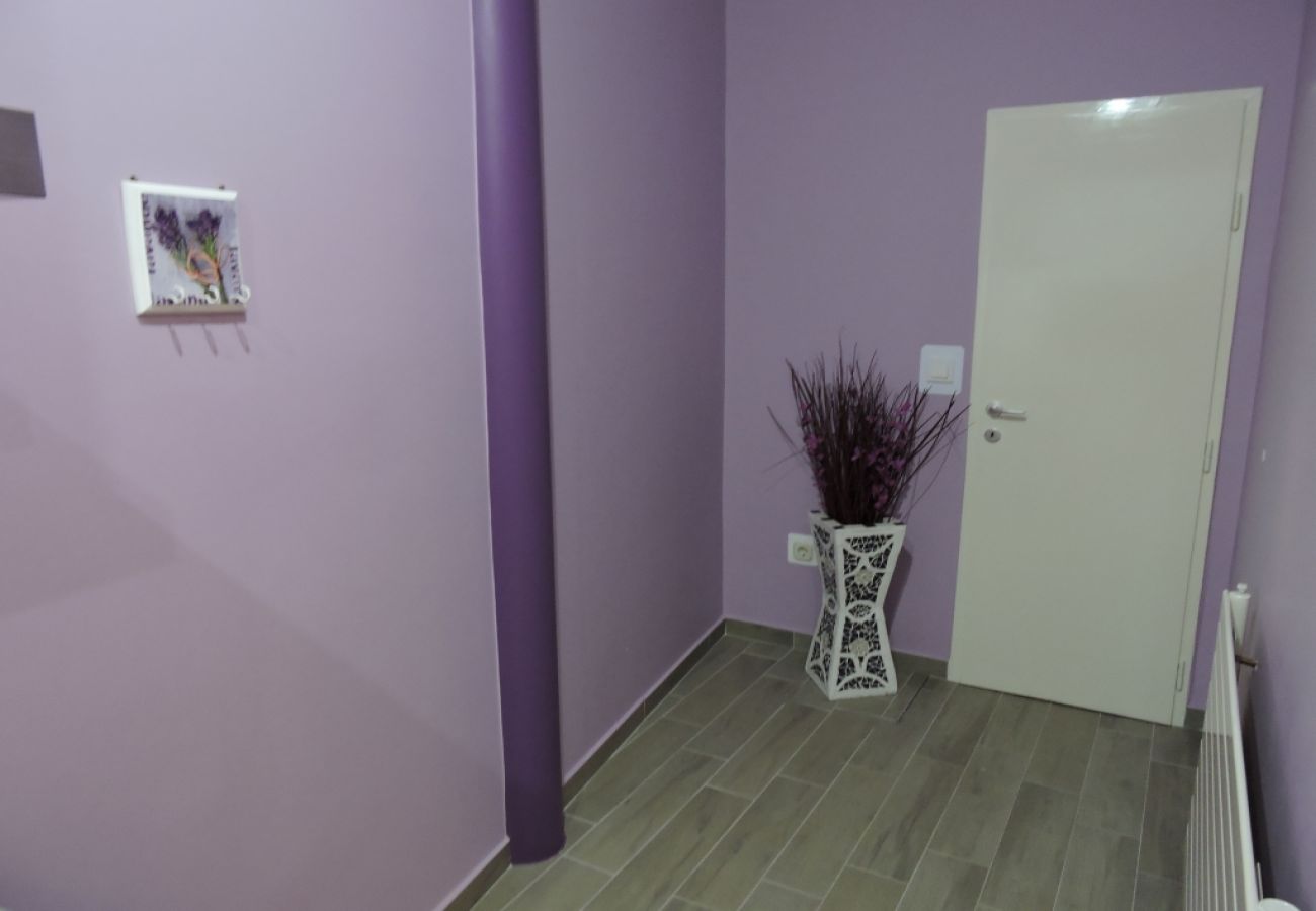 Appartamento a Biograd na moru - Appartamento in Zaravecchia (Biograd) con terrazzo, Climatizzazione, WIFI (4269-2)