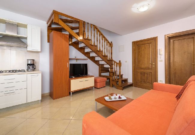 Appartamento a Bašanija - Appartamento in Bassania (Basanija) con vista mare, terrazzo, Climatizzazione, WIFI (113-3) Appartamento a Bašanija - Appartamento in Bassania (Basanija) con vista mare, terrazzo, Climatizzazione, WIFI (113-3)