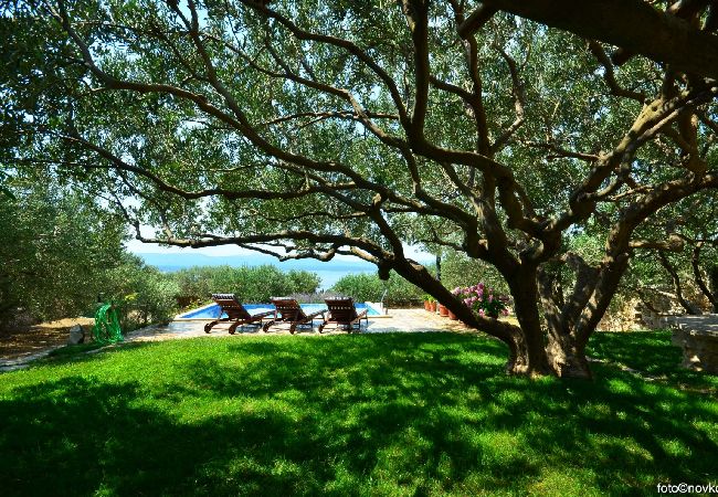 Casa a Bol - Casa di vacanza in Vallo della Brazza (Bol) con vista mare, terrazzo, Climatizzazione, WIFI (120-1) Casa a Bol - Casa di vacanza in Vallo della Brazza (Bol) con vista mare, terrazzo, Climatizzazione, WIFI (120-1)