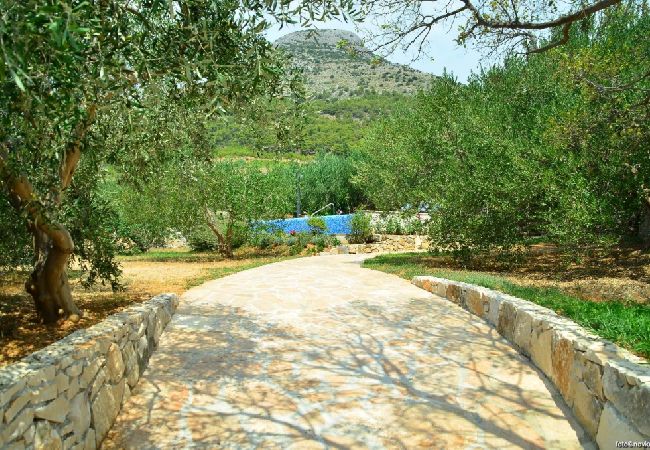 Casa a Bol - Casa di vacanza in Vallo della Brazza (Bol) con vista mare, terrazzo, Climatizzazione, WIFI (120-1) Casa a Bol - Casa di vacanza in Vallo della Brazza (Bol) con vista mare, terrazzo, Climatizzazione, WIFI (120-1)