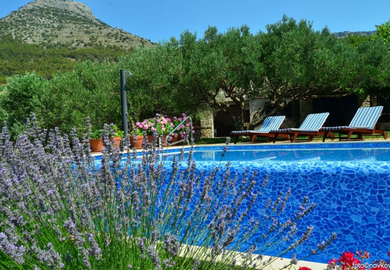 Casa a Bol - Casa di vacanza in Vallo della Brazza (Bol) con vista mare, terrazzo, Climatizzazione, WIFI (120-1)