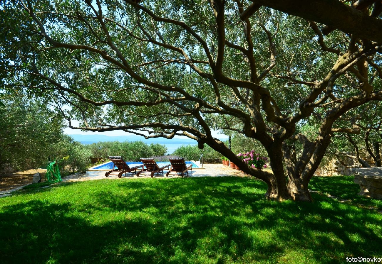 Casa a Bol - Casa di vacanza in Vallo della Brazza (Bol) con vista mare, terrazzo, Climatizzazione, WIFI (120-1)