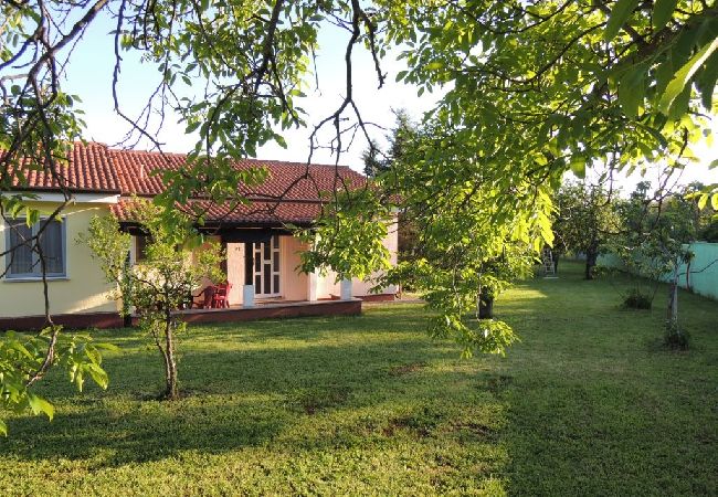 Casa a Porec - Casa di vacanza in Parenzo (Porec) con terrazzo, Climatizzazione, WIFI, Lavastoviglie (4400-8) Casa a Porec - Casa di vacanza in Parenzo (Porec) con terrazzo, Climatizzazione, WIFI, Lavastoviglie (4400-8)