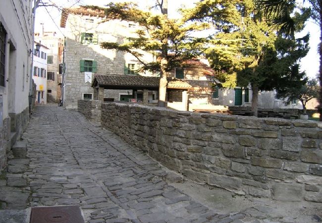 Casa a Porec - Casa di vacanza in Parenzo (Porec) con terrazzo, Climatizzazione, WIFI, Lavastoviglie (4400-8) Casa a Porec - Casa di vacanza in Parenzo (Porec) con terrazzo, Climatizzazione, WIFI, Lavastoviglie (4400-8)