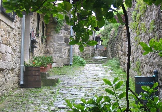 Casa a Porec - Casa di vacanza in Parenzo (Porec) con terrazzo, Climatizzazione, WIFI, Lavastoviglie (4400-8) Casa a Porec - Casa di vacanza in Parenzo (Porec) con terrazzo, Climatizzazione, WIFI, Lavastoviglie (4400-8)