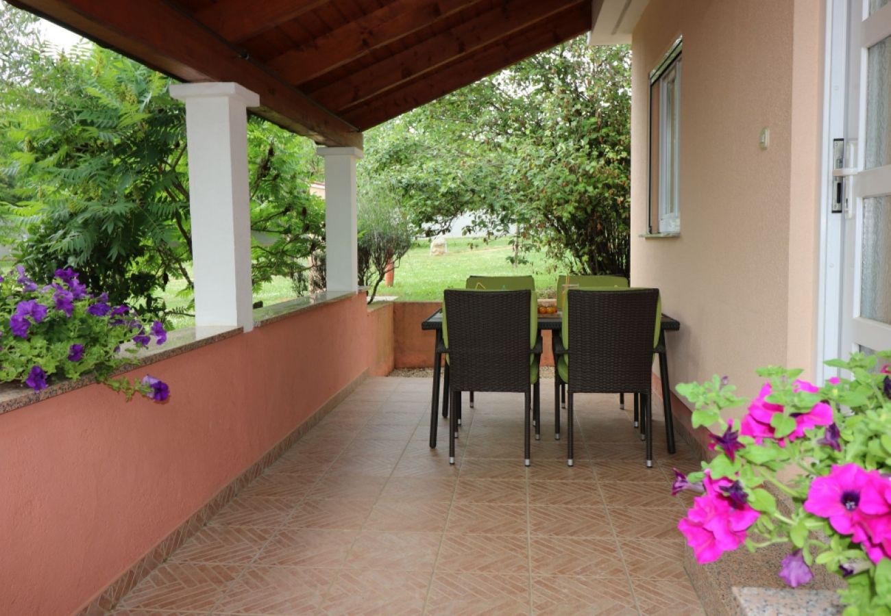 Casa a Porec - Casa di vacanza in Parenzo (Porec) con terrazzo, Climatizzazione, WIFI, Lavastoviglie (4400-5)