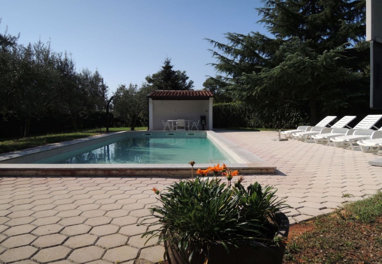 Casa a Porec - Casa di vacanza in Parenzo (Porec) con terrazzo, Climatizzazione, WIFI, Lavastoviglie (4400-5)