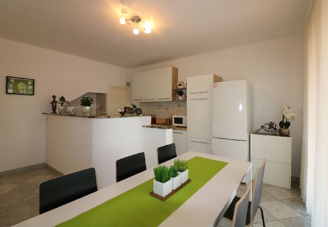 Appartamento a Porec - Appartamento in Parenzo (Porec) con terrazzo, Climatizzazione, WIFI, Lavastoviglie (4400-9) Appartamento a Porec - Appartamento in Parenzo (Porec) con terrazzo, Climatizzazione, WIFI, Lavastoviglie (4400-9)