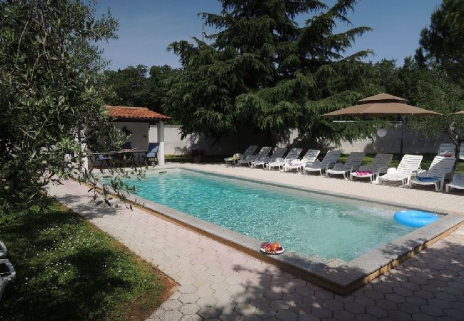 Appartamento a Porec - Appartamento in Parenzo (Porec) con terrazzo, Climatizzazione, WIFI, Lavastoviglie (4400-9) Appartamento a Porec - Appartamento in Parenzo (Porec) con terrazzo, Climatizzazione, WIFI, Lavastoviglie (4400-9)