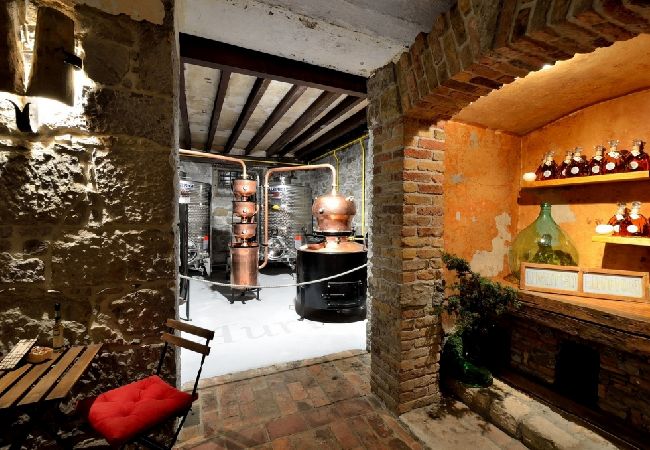 Casa a Porec - Casa di vacanza in Parenzo (Porec) con terrazzo, Climatizzazione, WIFI, Lavastoviglie (4400-1) Casa a Porec - Casa di vacanza in Parenzo (Porec) con terrazzo, Climatizzazione, WIFI, Lavastoviglie (4400-1)