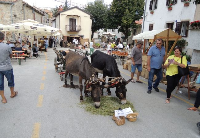 Appartamento a Porec - Appartamento a Parenzo con terrazza, aria condizionata, Wi-Fi, lavastoviglie (4400-10) Appartamento a Porec - Appartamento a Parenzo con terrazza, aria condizionata, Wi-Fi, lavastoviglie (4400-10)