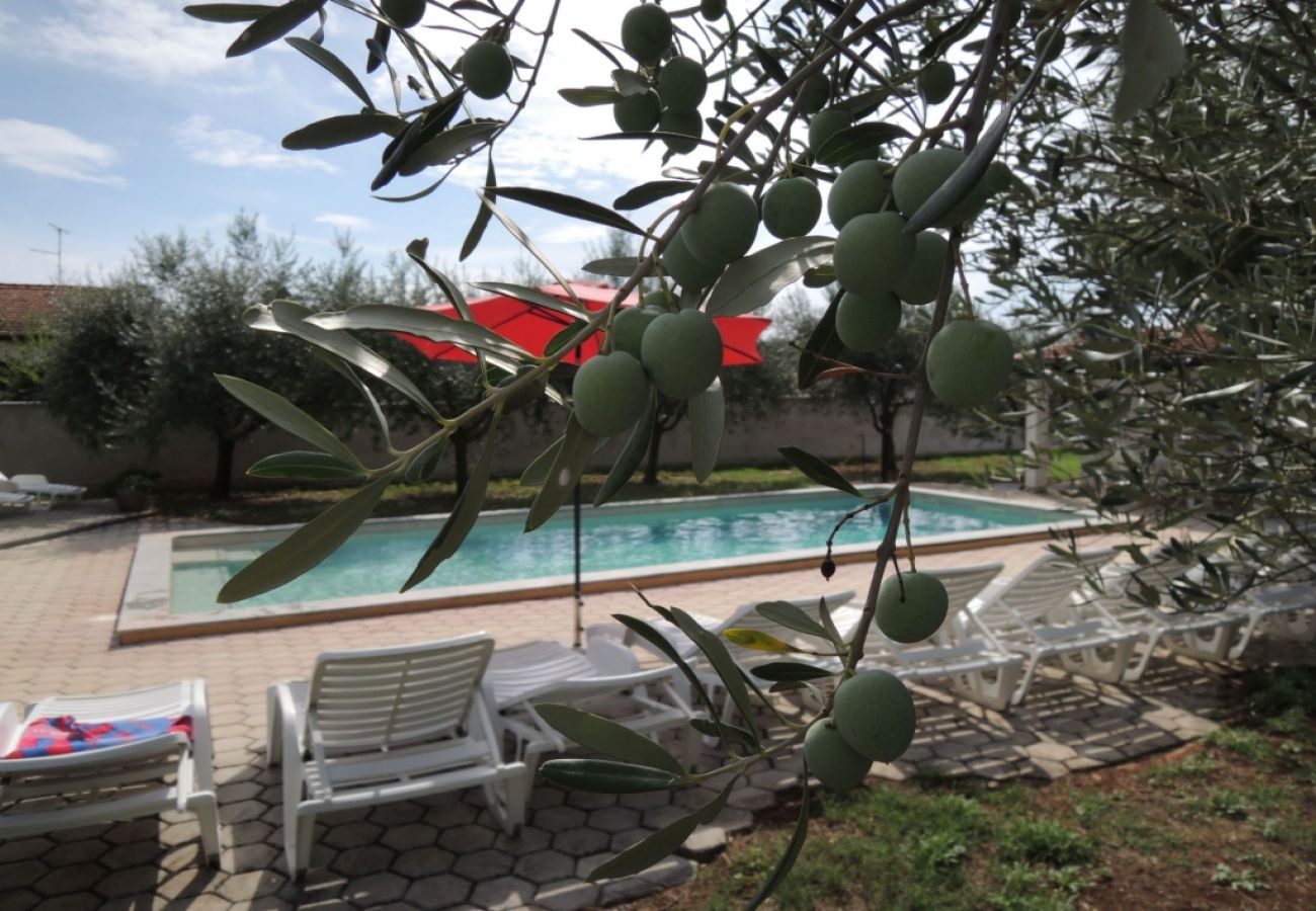 Appartamento a Porec - Appartamento a Parenzo con terrazza, aria condizionata, Wi-Fi, lavastoviglie (4400-10)