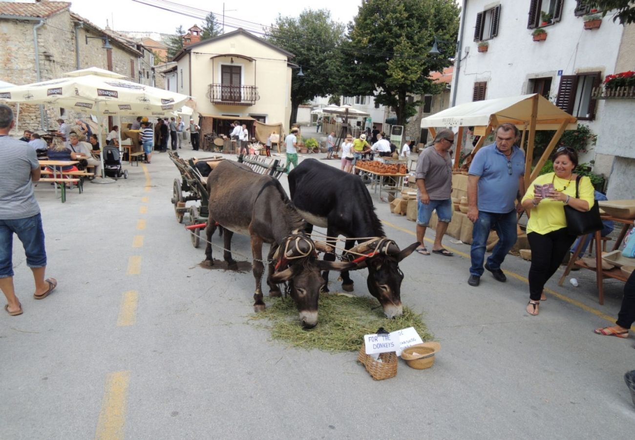 Appartamento a Porec - Appartamento a Parenzo con terrazza, aria condizionata, Wi-Fi, lavastoviglie (4400-10)