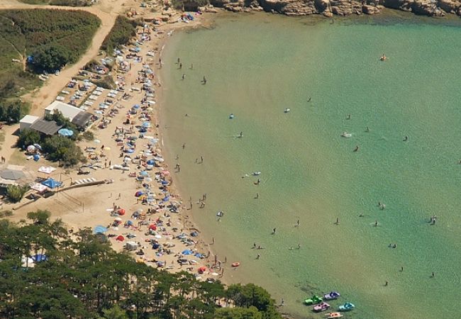 Appartamento a Lopar - Appartamento in Loparo (Lopar) con vista mare, balcone, Climatizzazione, WIFI (4419-3) Appartamento a Lopar - Appartamento in Loparo (Lopar) con vista mare, balcone, Climatizzazione, WIFI (4419-3)
