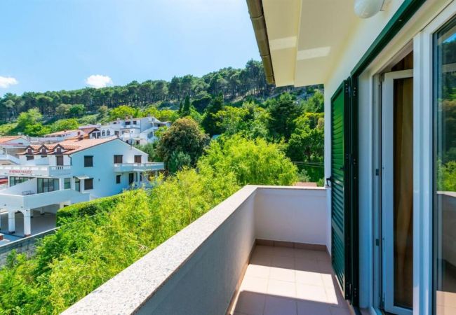 Appartamento a Lopar - Appartamento in Loparo (Lopar) con vista mare, balcone, Climatizzazione, WIFI (4419-3) Appartamento a Lopar - Appartamento in Loparo (Lopar) con vista mare, balcone, Climatizzazione, WIFI (4419-3)