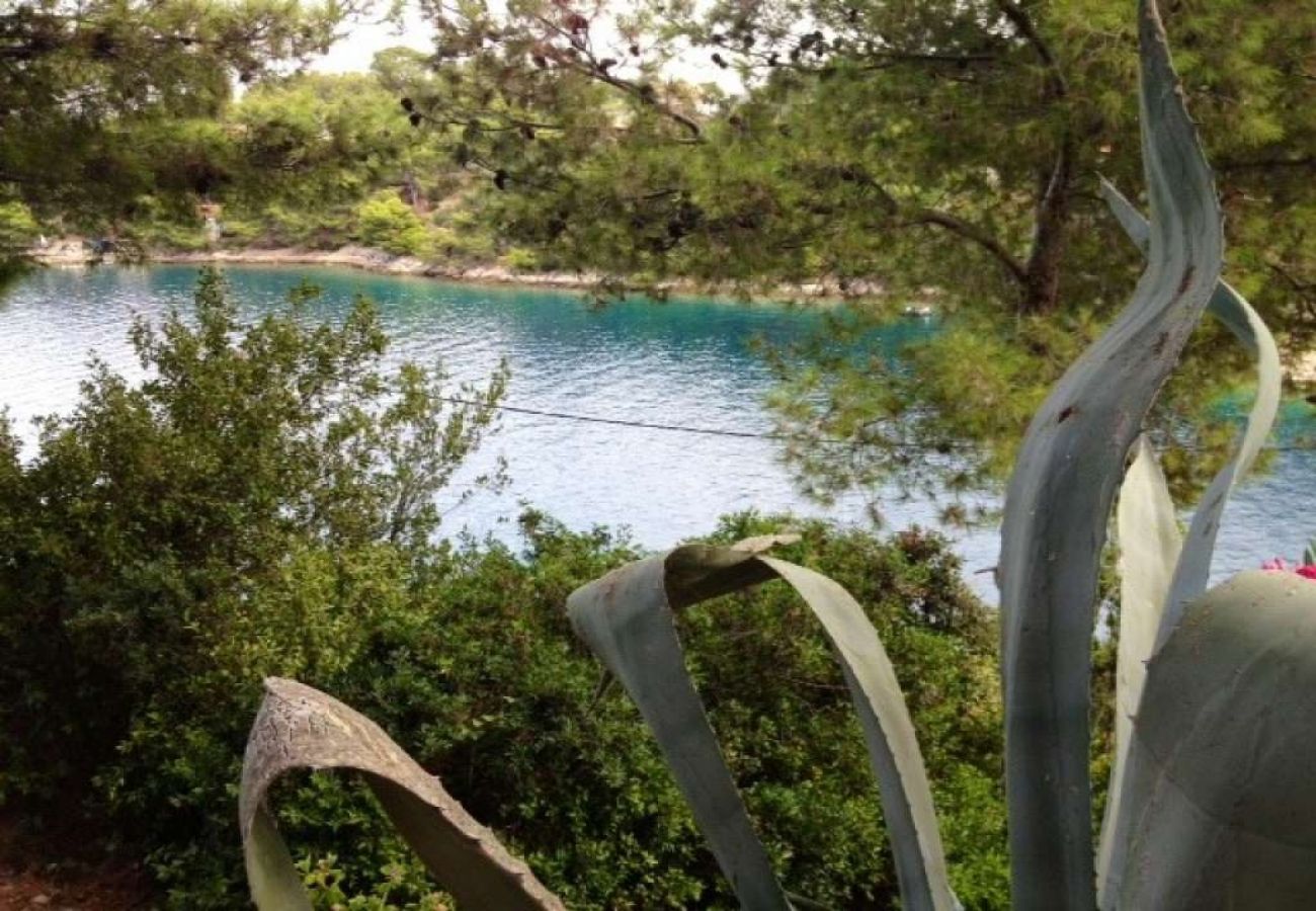 Casa a Sali - Casa di vacanza in Sale (Sali) con vista mare, terrazzo (4420-1)