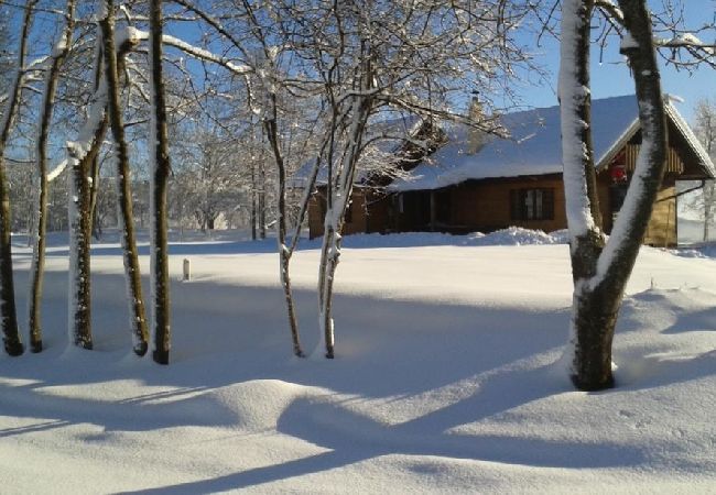 Casa a Rakovica - Casa di vacanza in Rakovica con terrazzo, WIFI, Lavatrice (4488-2) Casa a Rakovica - Casa di vacanza in Rakovica con terrazzo, WIFI, Lavatrice (4488-2)