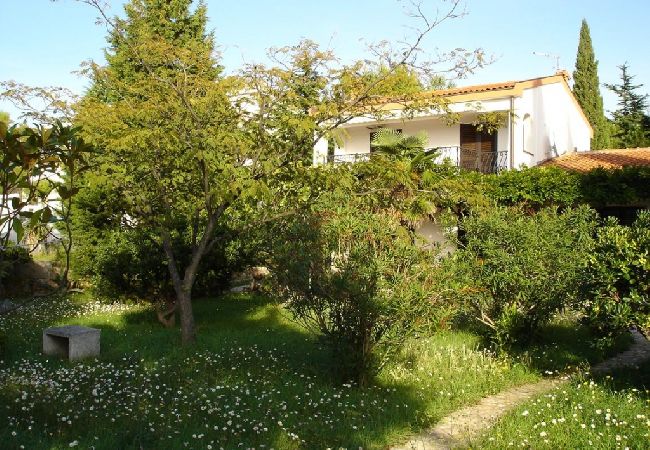 Appartamento a Punat - Appartamento in Ponte (Punat) con vista mare, terrazzo, Climatizzazione, WIFI (4526-1) Appartamento a Punat - Appartamento in Ponte (Punat) con vista mare, terrazzo, Climatizzazione, WIFI (4526-1)