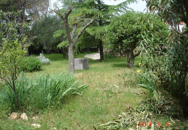 Appartamento a Punat - Appartamento in Ponte (Punat) con vista mare, terrazzo, Climatizzazione, WIFI (4526-1) Appartamento a Punat - Appartamento in Ponte (Punat) con vista mare, terrazzo, Climatizzazione, WIFI (4526-1)