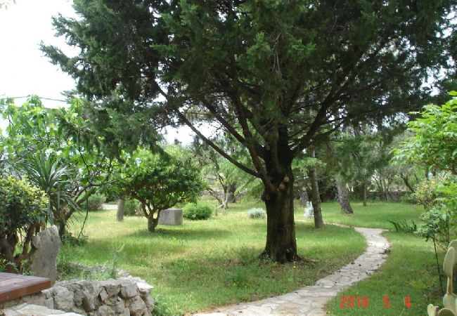 Appartamento a Punat - Appartamento in Ponte (Punat) con vista mare, terrazzo, Climatizzazione, WIFI (4526-1) Appartamento a Punat - Appartamento in Ponte (Punat) con vista mare, terrazzo, Climatizzazione, WIFI (4526-1)