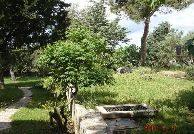 Appartamento a Punat - Appartamento in Ponte (Punat) con vista mare, terrazzo, Climatizzazione, WIFI (4526-1) Appartamento a Punat - Appartamento in Ponte (Punat) con vista mare, terrazzo, Climatizzazione, WIFI (4526-1)