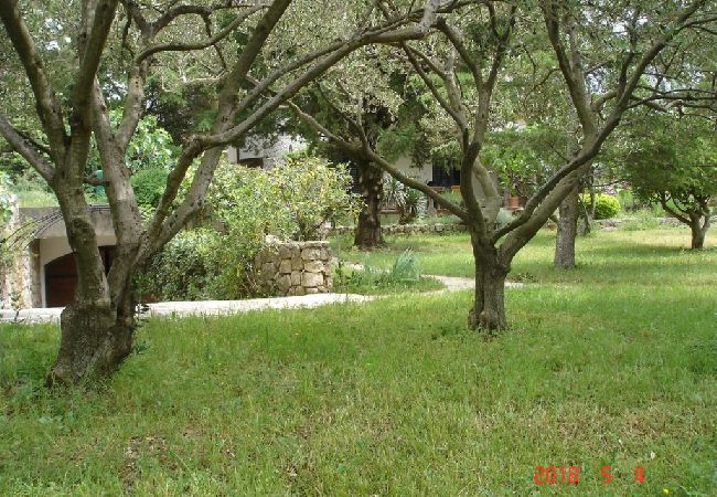 Appartamento a Punat - Appartamento in Ponte (Punat) con vista mare, terrazzo, Climatizzazione, WIFI (4526-1) Appartamento a Punat - Appartamento in Ponte (Punat) con vista mare, terrazzo, Climatizzazione, WIFI (4526-1)