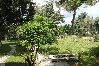 Studio a Punat - Appartamento Studio in Ponte (Punat) con terrazzo, Climatizzazione, WIFI (4526-3) Studio a Punat - Appartamento Studio in Ponte (Punat) con terrazzo, Climatizzazione, WIFI (4526-3)