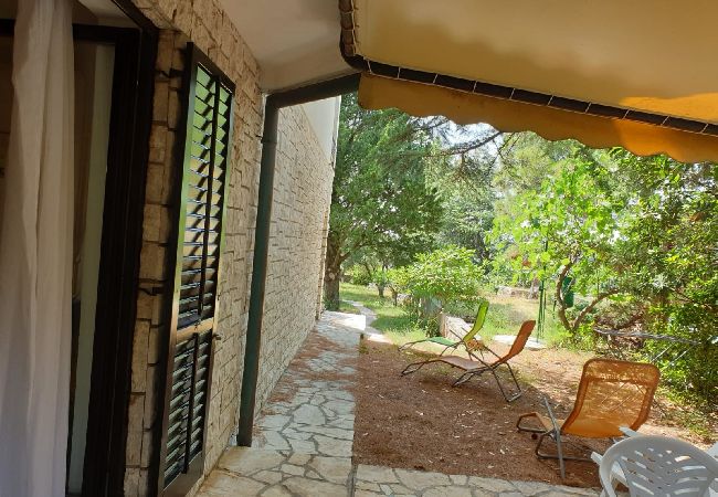 Appartamento a Punat - Appartamento in Ponte (Punat) con terrazzo, Climatizzazione, WIFI (4526-2) Appartamento a Punat - Appartamento in Ponte (Punat) con terrazzo, Climatizzazione, WIFI (4526-2)