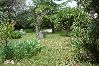 Appartamento a Punat - Appartamento in Ponte (Punat) con terrazzo, Climatizzazione, WIFI (4526-2) Appartamento a Punat - Appartamento in Ponte (Punat) con terrazzo, Climatizzazione, WIFI (4526-2)