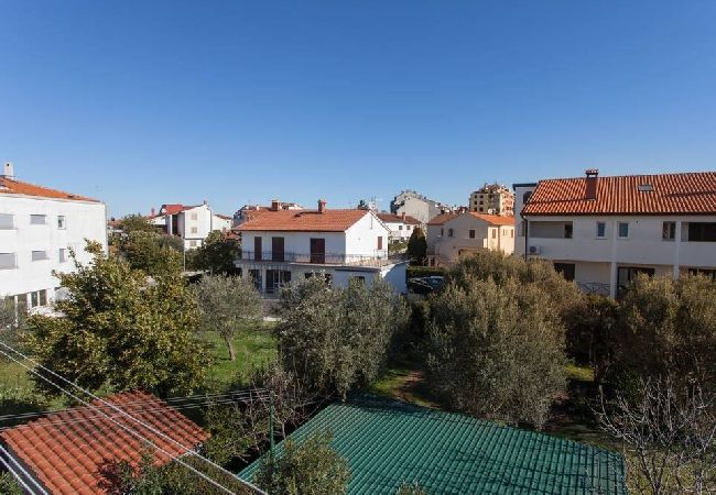 Appartamento a Rovinj - Appartamento in Rovigno (Rovinj) con terrazzo, Climatizzazione, WIFI, Lavatrice (3652-3) Appartamento a Rovinj - Appartamento in Rovigno (Rovinj) con terrazzo, Climatizzazione, WIFI, Lavatrice (3652-3)