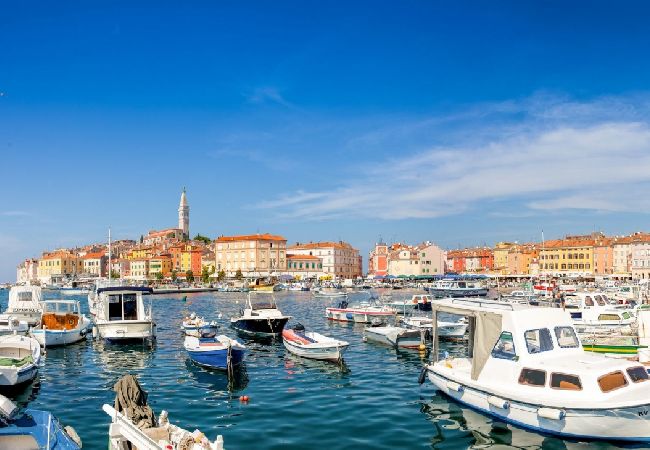 Appartamento a Rovinj - Appartamento in Rovigno (Rovinj) con terrazzo, Climatizzazione, WIFI, Lavatrice (3652-3) Appartamento a Rovinj - Appartamento in Rovigno (Rovinj) con terrazzo, Climatizzazione, WIFI, Lavatrice (3652-3)