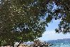 Appartamento a Punat - Appartamento in Ponte (Punat) con loggia, Climatizzazione, WIFI, Lavatrice (4534-1) Appartamento a Punat - Appartamento in Ponte (Punat) con loggia, Climatizzazione, WIFI, Lavatrice (4534-1)
