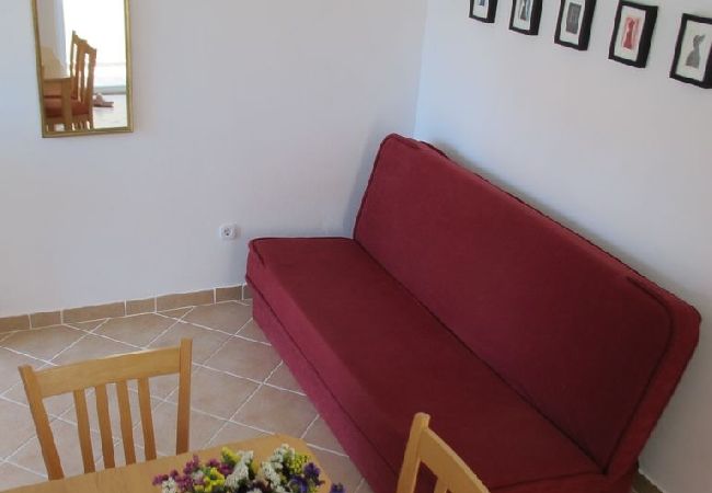 Appartamento a Vir - Appartamento in Vir con vista mare, terrazzo, Climatizzazione, WIFI (4472-1) Appartamento a Vir - Appartamento in Vir con vista mare, terrazzo, Climatizzazione, WIFI (4472-1)