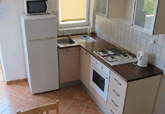 Appartamento a Vir - Appartamento in Vir con vista mare, terrazzo, Climatizzazione, WIFI (4472-1) Appartamento a Vir - Appartamento in Vir con vista mare, terrazzo, Climatizzazione, WIFI (4472-1)