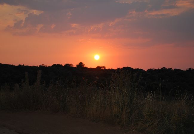 Appartamento a Vir - Appartamento in Vir con vista mare, terrazzo, Climatizzazione, WIFI (4472-1) Appartamento a Vir - Appartamento in Vir con vista mare, terrazzo, Climatizzazione, WIFI (4472-1)