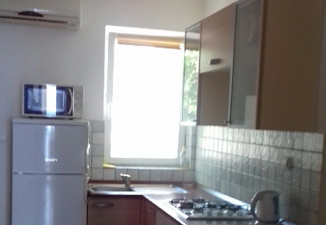 Appartamento a Vir - Appartamento in Vir con vista mare, terrazzo, Climatizzazione, WIFI (4472-2) Appartamento a Vir - Appartamento in Vir con vista mare, terrazzo, Climatizzazione, WIFI (4472-2)