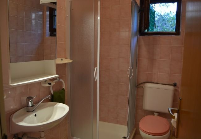 Appartamento a Supetarska Draga - Appartamento in Supetarska Draga con vista mare, terrazzo, Climatizzazione, WIFI (4552-8) Appartamento a Supetarska Draga - Appartamento in Supetarska Draga con vista mare, terrazzo, Climatizzazione, WIFI (4552-8)