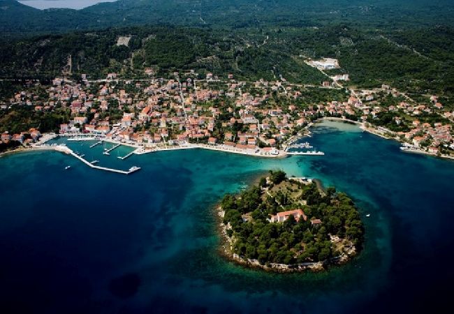 Appartamento a Preko - Appartamento per le vacanze a Preko con terrazza, aria condizionata, Wi-Fi, lavatrice (4568-5) Appartamento a Preko - Appartamento per le vacanze a Preko con terrazza, aria condizionata, Wi-Fi, lavatrice (4568-5)