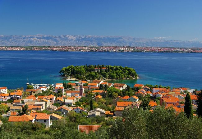 Appartamento a Preko - Appartamento per le vacanze a Preko con terrazza, aria condizionata, Wi-Fi, lavatrice (4568-5) Appartamento a Preko - Appartamento per le vacanze a Preko con terrazza, aria condizionata, Wi-Fi, lavatrice (4568-5)