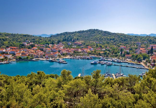 Appartamento a Preko - Appartamento per le vacanze a Preko con terrazza, aria condizionata, Wi-Fi, lavatrice (4568-5) Appartamento a Preko - Appartamento per le vacanze a Preko con terrazza, aria condizionata, Wi-Fi, lavatrice (4568-5)