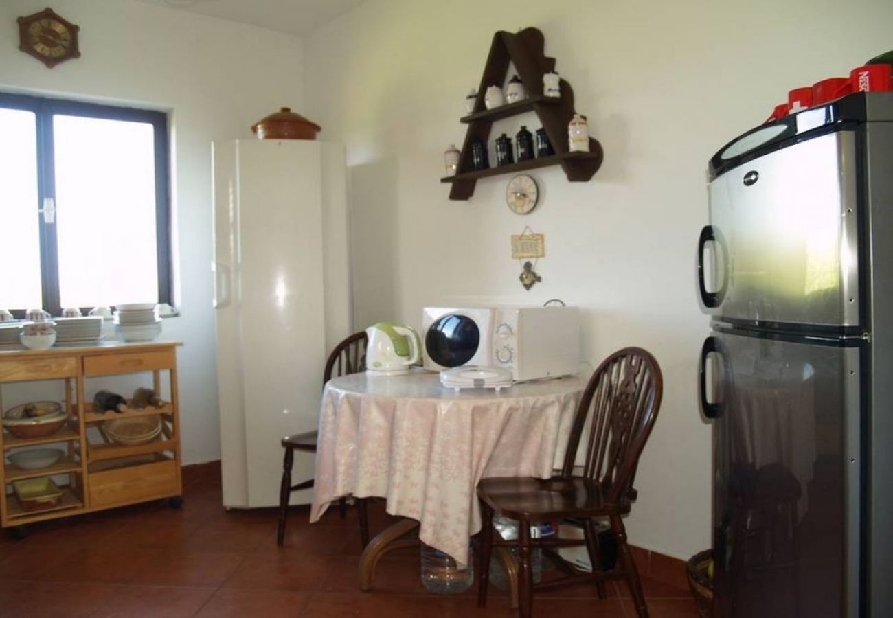 Casa a Kukljica - Casa di vacanza in Cuclizza (Kukljica) con vista mare, terrazzo, Climatizzazione, WIFI (4572-1)