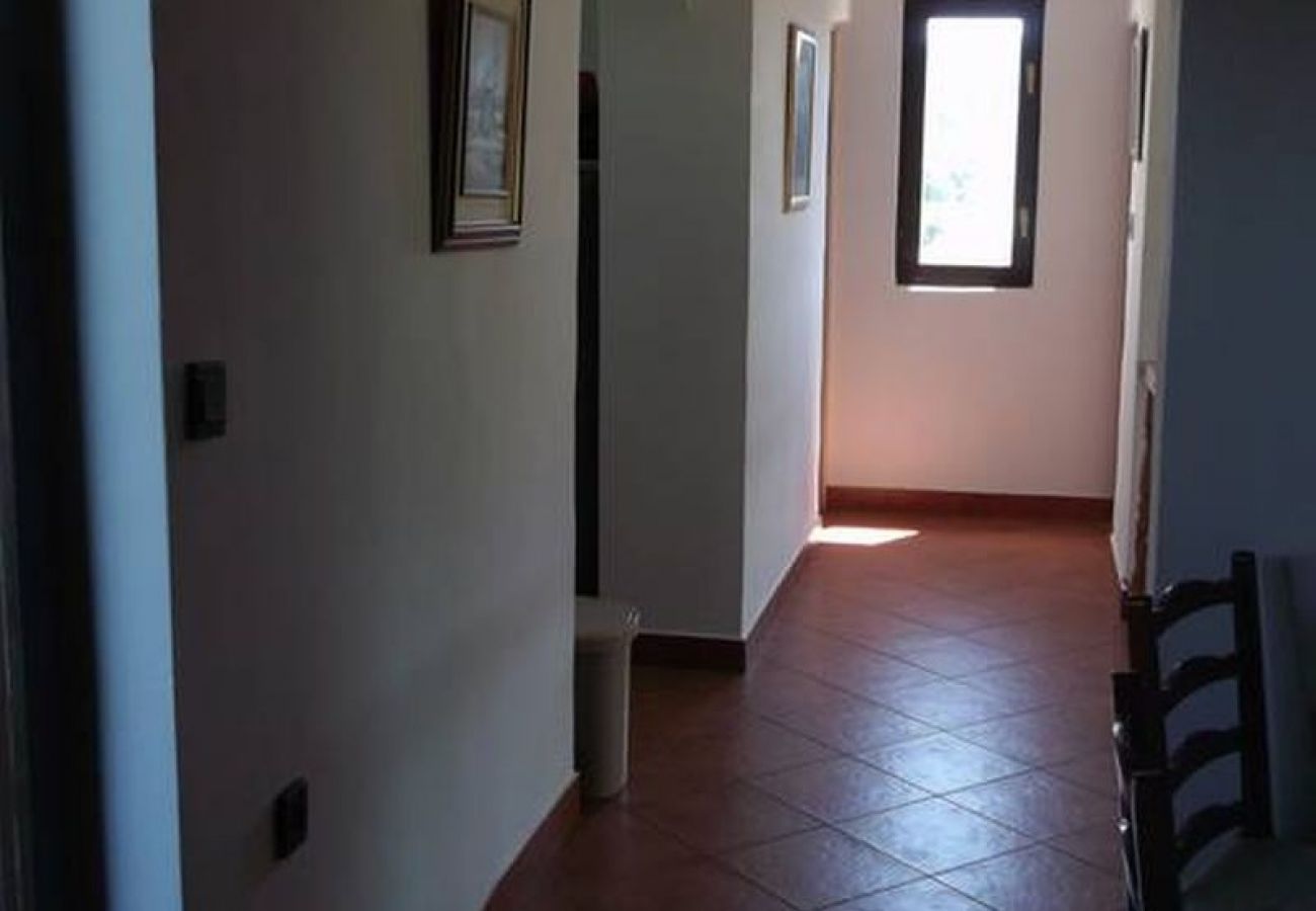 Casa a Kukljica - Casa di vacanza in Cuclizza (Kukljica) con vista mare, terrazzo, Climatizzazione, WIFI (4572-1)