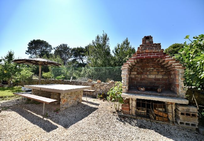 Appartamento a Vir - Appartamento in Vir con terrazzo, Climatizzazione, WIFI (4592-1) Appartamento a Vir - Appartamento in Vir con terrazzo, Climatizzazione, WIFI (4592-1)