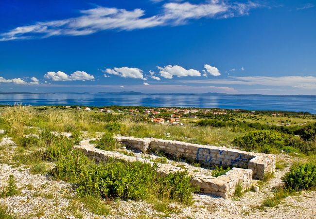 Appartamento a Vir - Appartamento in Vir con vista mare, terrazzo, Climatizzazione, WIFI (4593-1) Appartamento a Vir - Appartamento in Vir con vista mare, terrazzo, Climatizzazione, WIFI (4593-1)