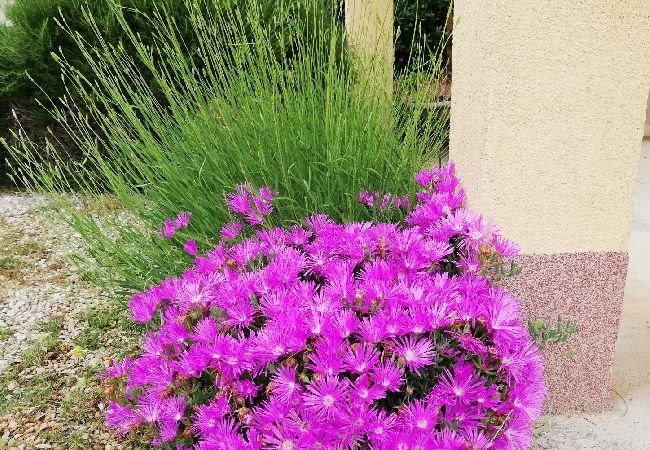 Appartamento a Vir - Appartamento in Vir con terrazzo, Climatizzazione, WIFI (4594-2) Appartamento a Vir - Appartamento in Vir con terrazzo, Climatizzazione, WIFI (4594-2)