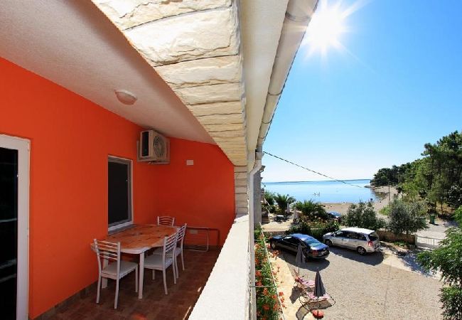 Appartamento a Vir - Appartamento in Vir con vista mare, balcone, Climatizzazione, WIFI (4595-4) Appartamento a Vir - Appartamento in Vir con vista mare, balcone, Climatizzazione, WIFI (4595-4)