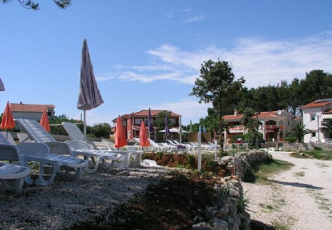 Appartamento a Vir - Appartamento in Vir con vista mare, balcone, Climatizzazione, WIFI (4595-4) Appartamento a Vir - Appartamento in Vir con vista mare, balcone, Climatizzazione, WIFI (4595-4)