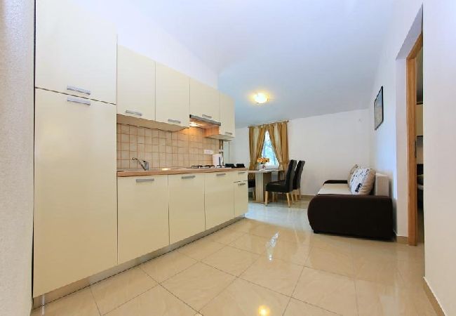 Appartamento a Vir - Appartamento in Vir con vista mare, terrazzo, Climatizzazione, WIFI (4595-5) Appartamento a Vir - Appartamento in Vir con vista mare, terrazzo, Climatizzazione, WIFI (4595-5)